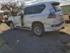 Lot #3305308325 2019 LEXUS GX 460