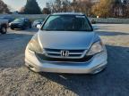 Lot #3296349187 2010 HONDA CR-V EXL