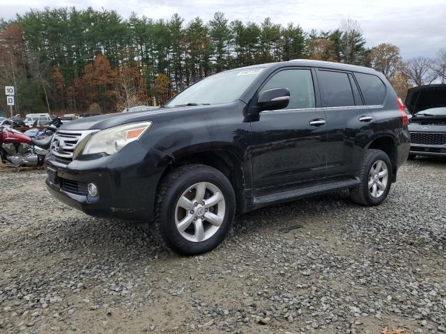 LEXUS GX 460