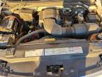 Lot #3294137940 1997 FORD F150