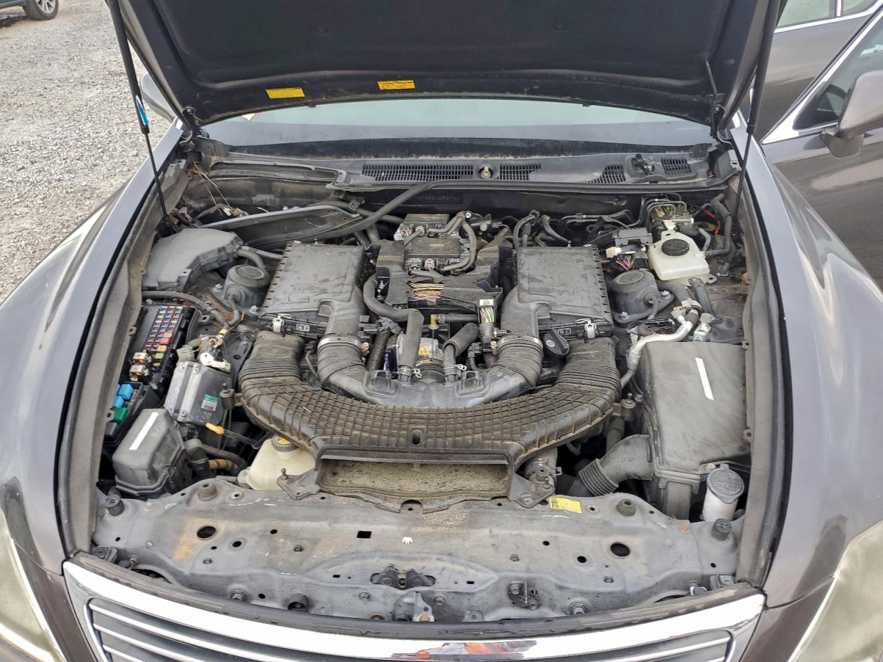 Lot #3302756352 2008 LEXUS LS 460L