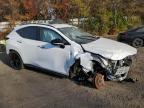 Lot #3305420437 2024 LEXUS NX 450H LU