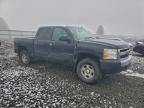Lot #3305369341 2008 CHEVROLET SILVERADO