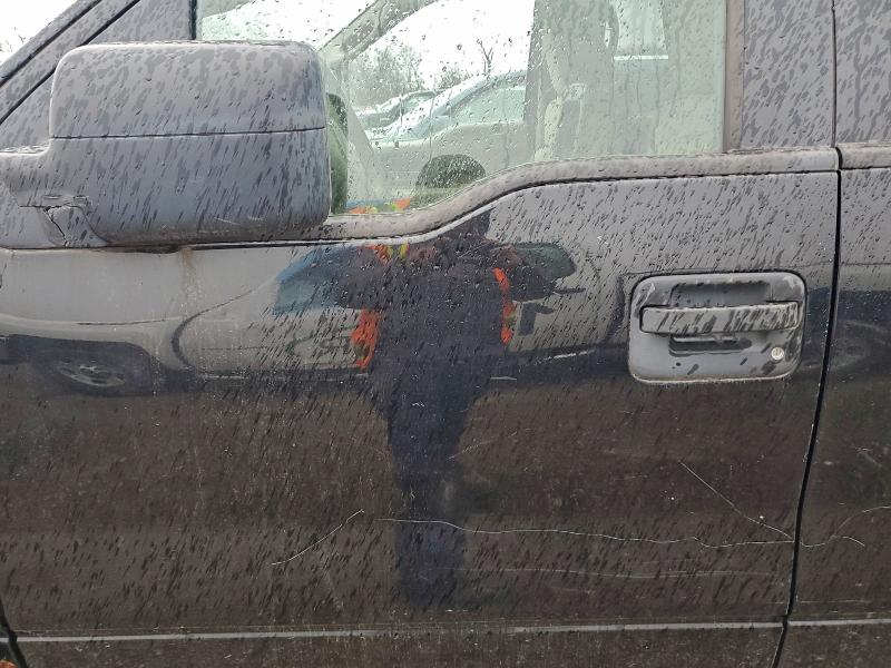 2008 FORD F150 SUPER #3296256469