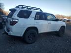 Lot #3317703155 2019 TOYOTA 4RUNNER SR