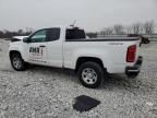 Lot #3303853523 2021 CHEVROLET COLORADO