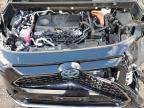 Lot #3303725436 2022 TOYOTA RAV4 PRIME