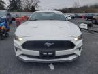 Lot #3292503679 2019 FORD MUSTANG