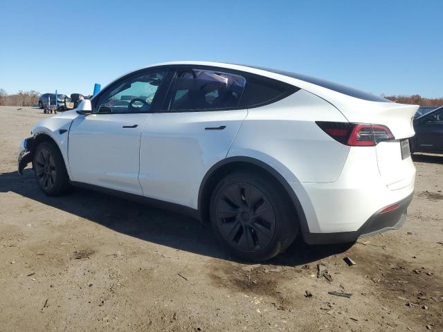 2025 TESLA MODEL Y #3297163492