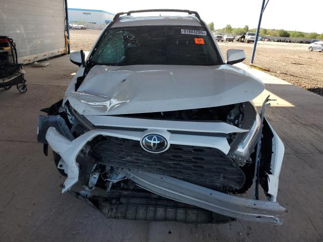 2023 TOYOTA RAV4 XLE #3303847568