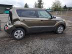 Lot #3297243394 2013 KIA SOUL