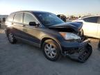 Lot #3296026356 2009 HONDA CR-V EX