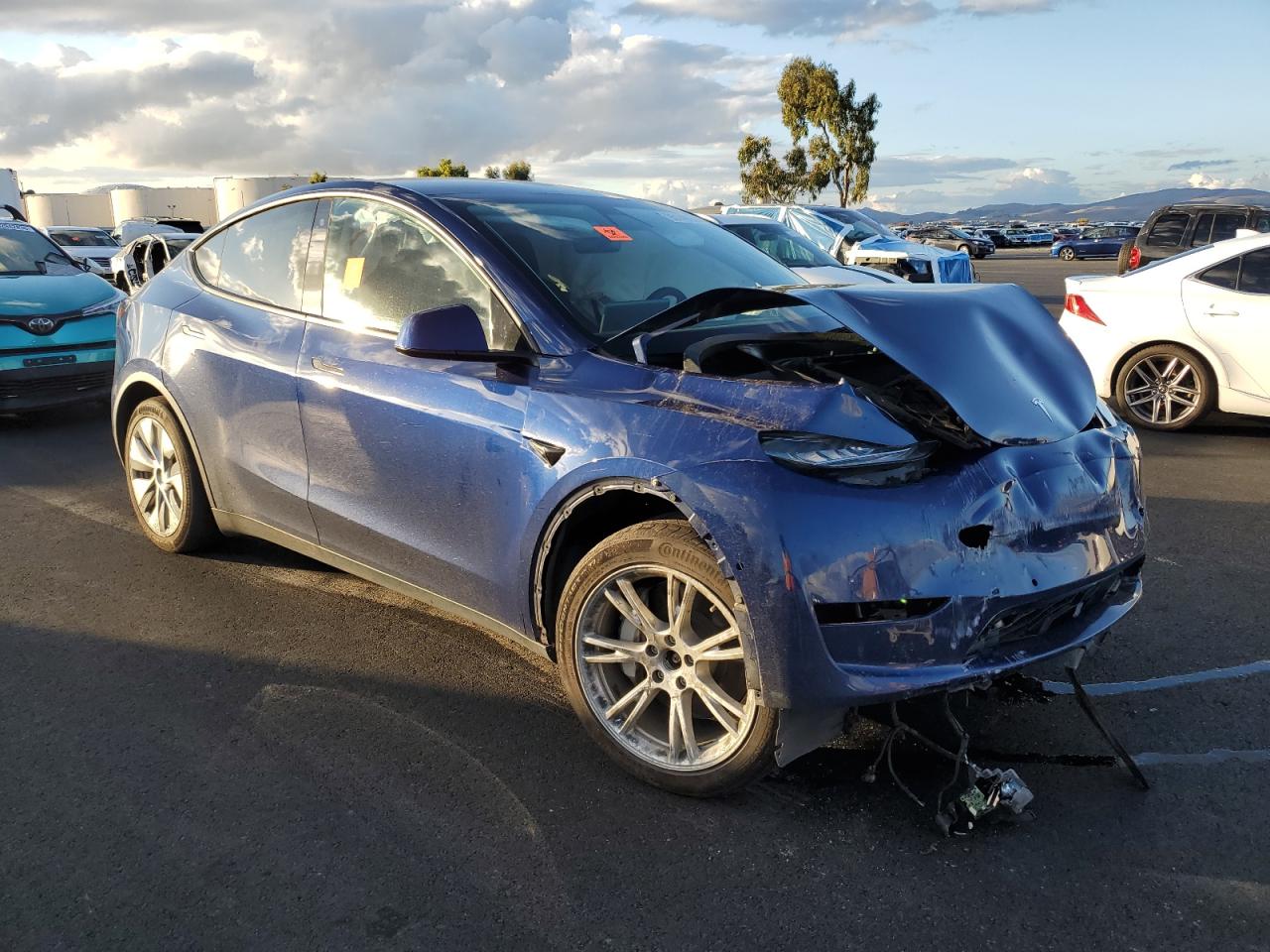 TESLA MODEL Y