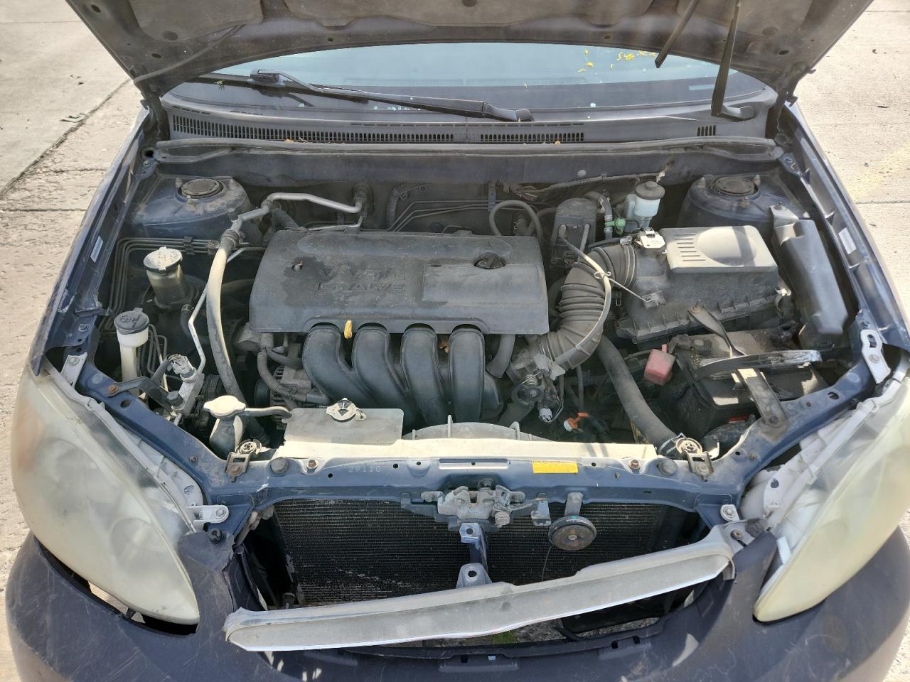 Lot #3291766283 2004 TOYOTA COROLLA CE