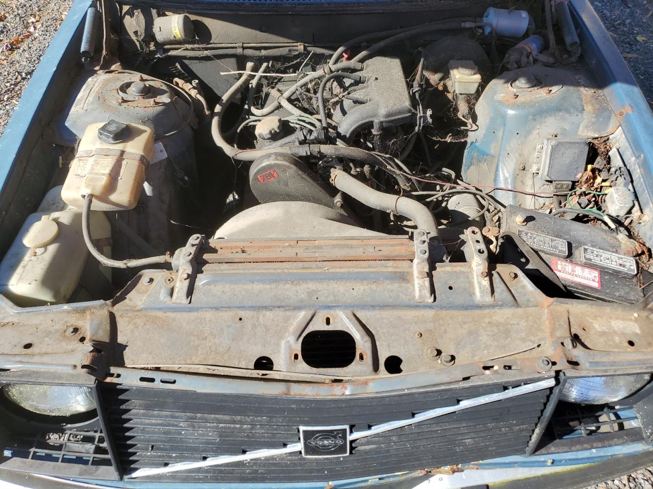 Lot #3294096941 1976 VOLVO 242 DL