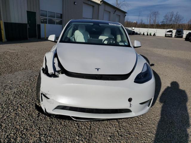 2025 TESLA MODEL Y #3302759387