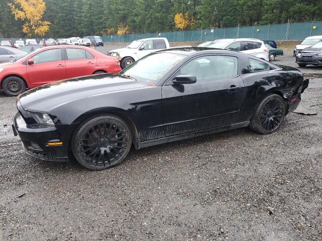 Global Auto Auctions: 2014 FORD MUSTANG