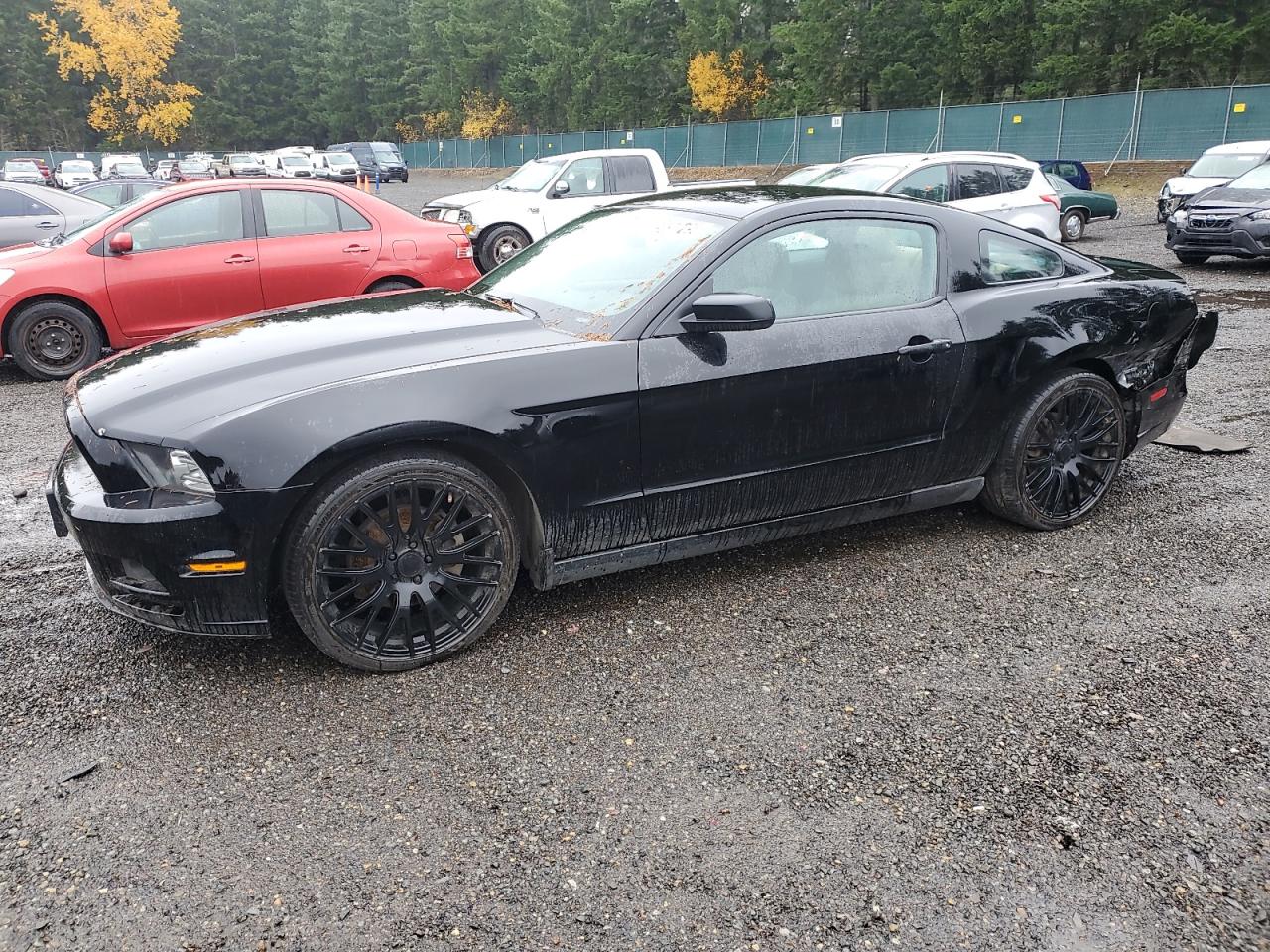 Lot #3297083494 2014 FORD MUSTANG