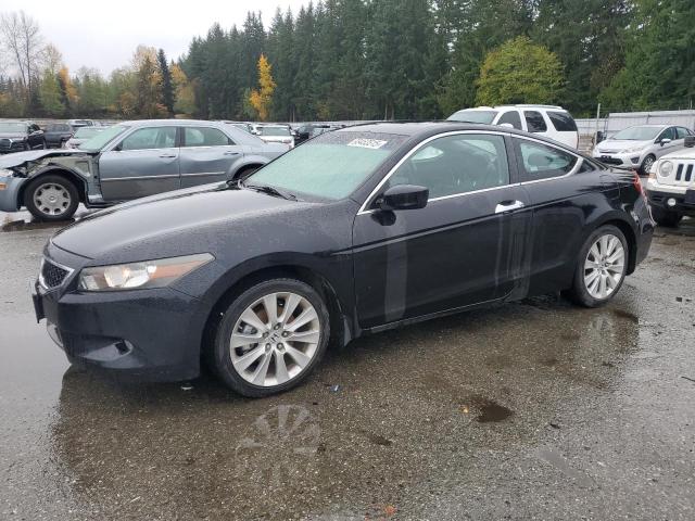 Global Auto Auctions: 2008 HONDA ACCORD EXL