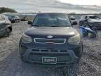 Lot #3297954776 2015 KIA SOUL