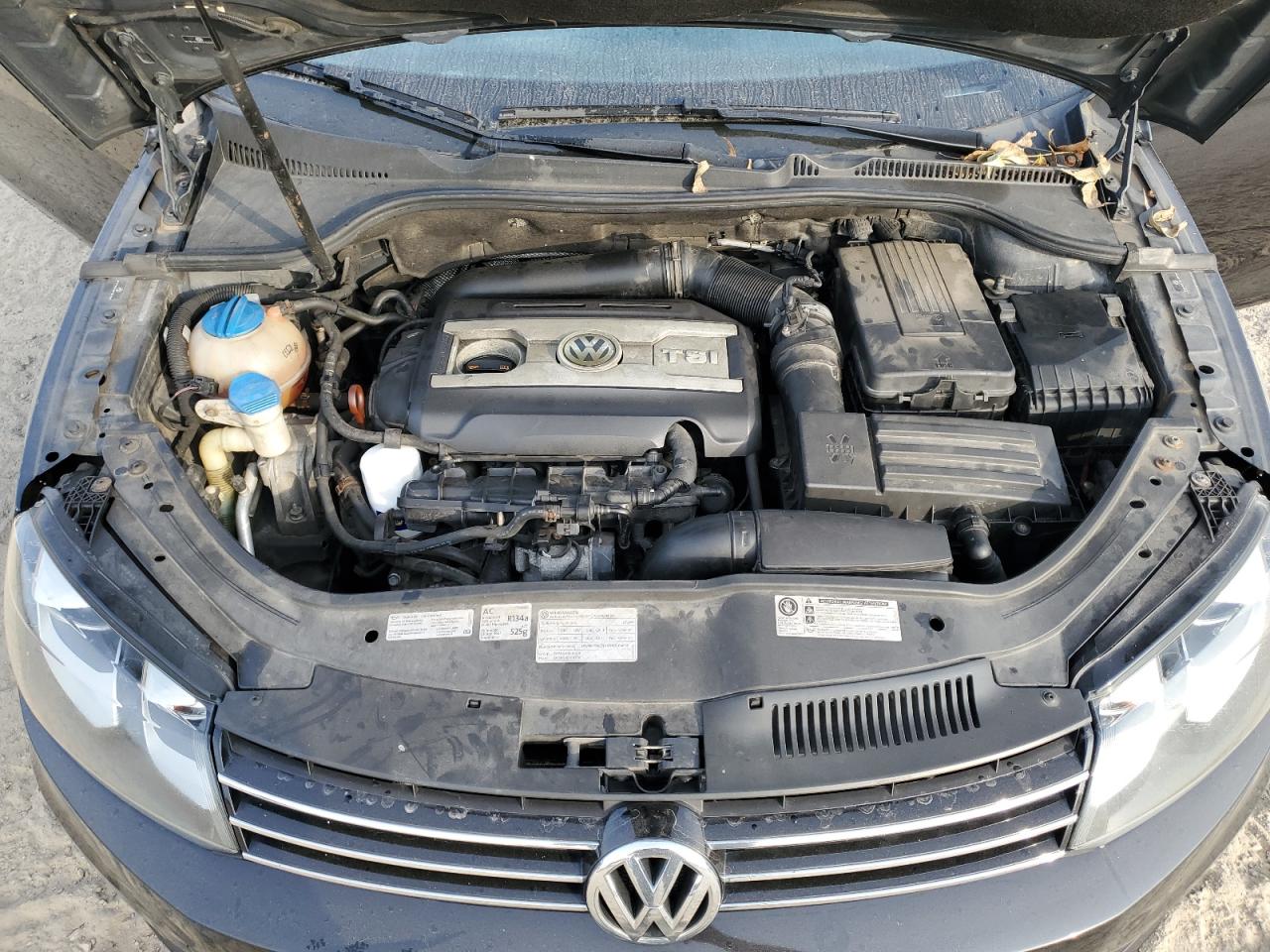 VOLKSWAGEN EOS LUX