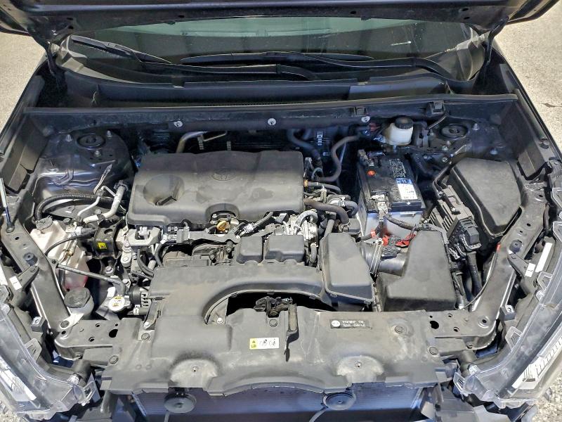 2024 TOYOTA RAV4 XLE #3303882712