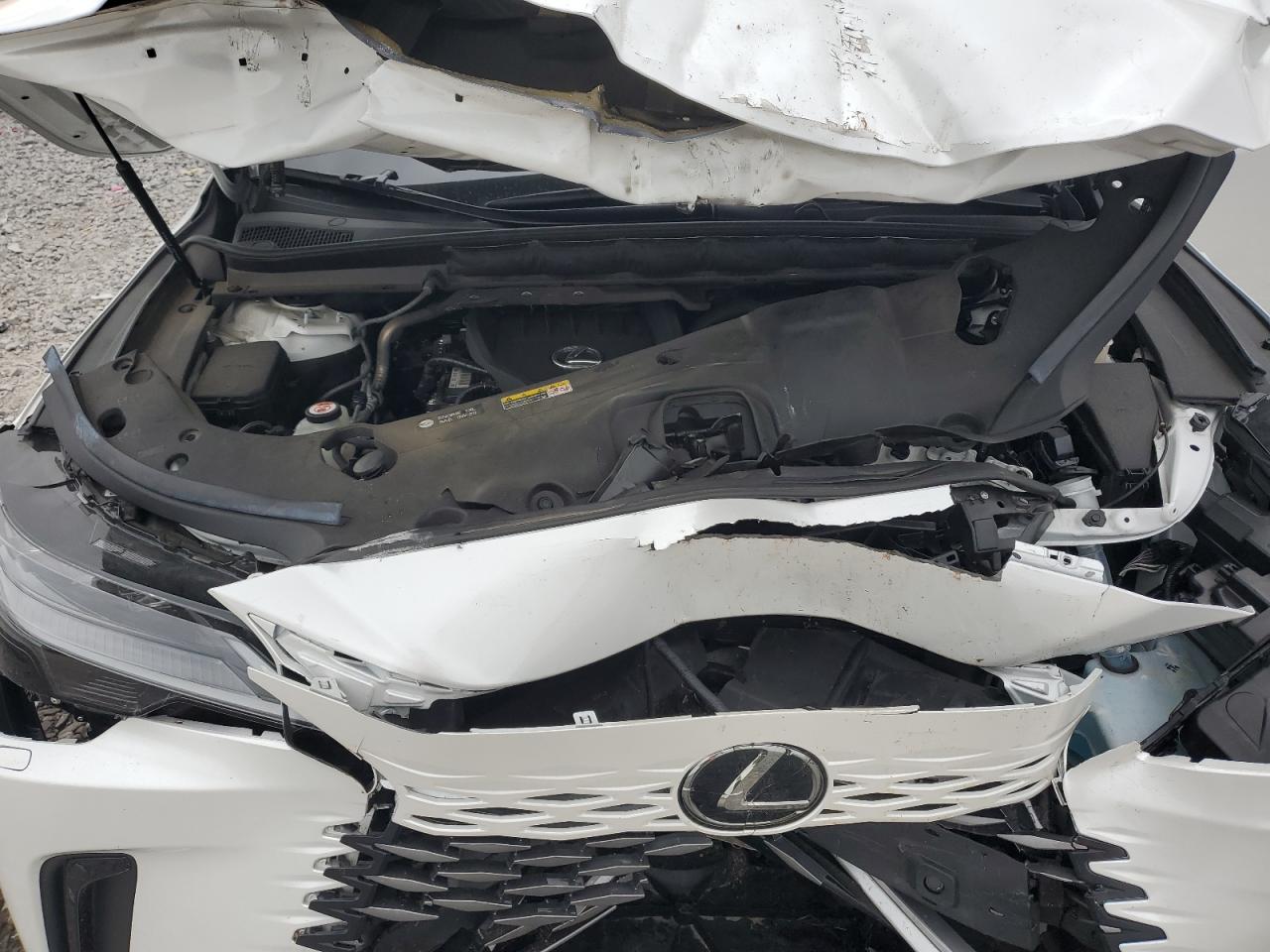 Lot #3301819383 2024 LEXUS RX 350 BAS