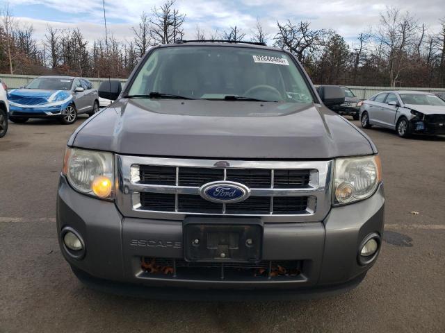 2010 FORD ESCAPE XLT #3290038279