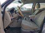 Lot #3302011054 2010 FORD ESCAPE XLT