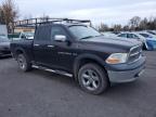 Lot #3293270437 2011 DODGE RAM 1500