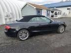 Lot #3305423438 2014 AUDI A5 PREMIUM