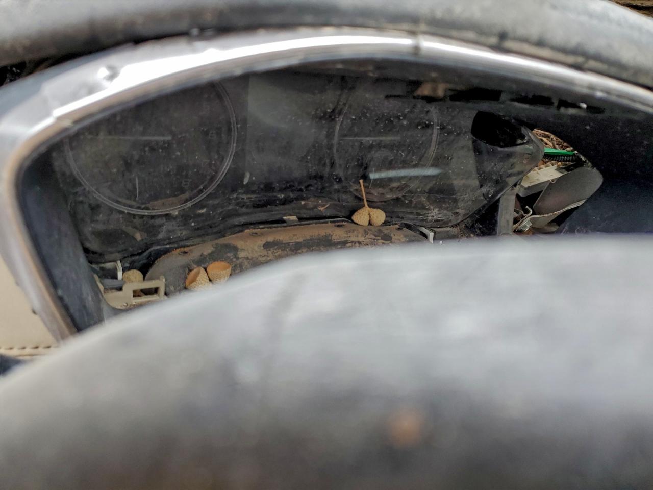 SUBARU OUTBACK LIMITED