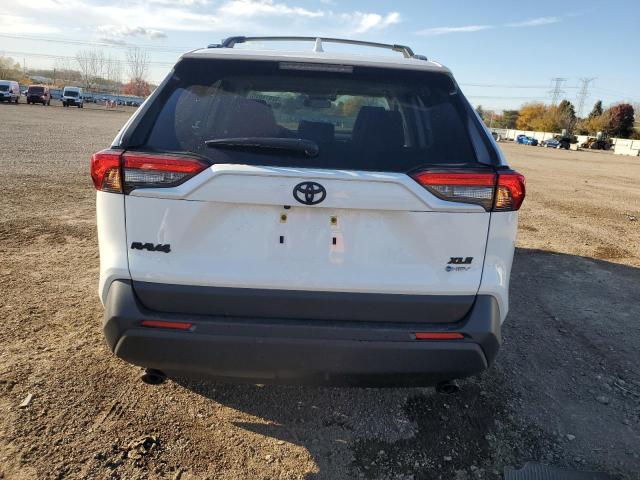 2025 TOYOTA RAV4 XLE #3284116580