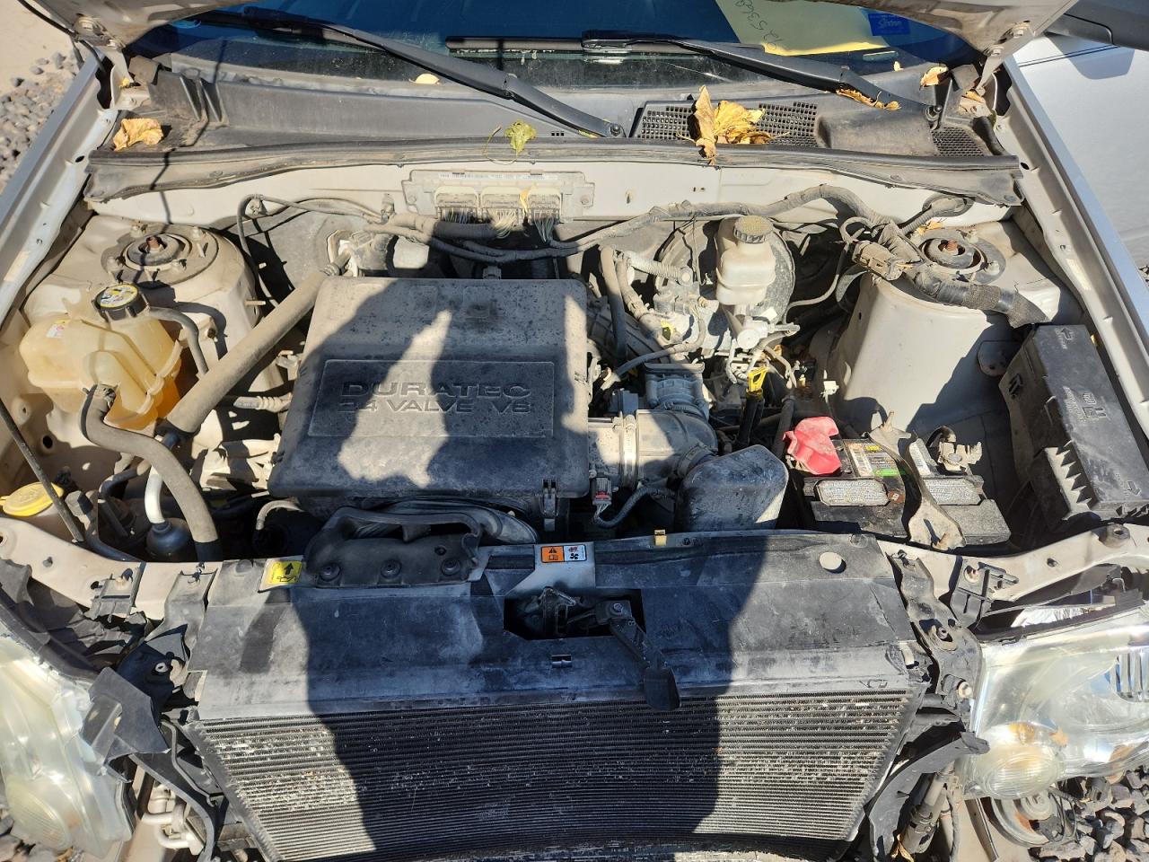 Lot #3297230389 2009 FORD ESCAPE XLT