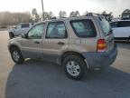 Lot #3316737460 2007 FORD ESCAPE XLS