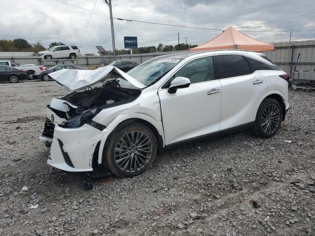 2024 LEXUS RX 350 BAS #3301819383