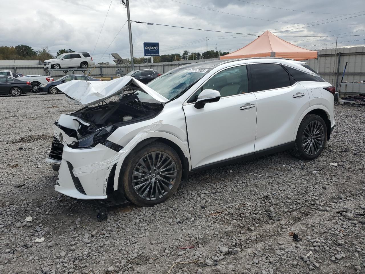 Lot #3301819383 2024 LEXUS RX 350 BAS