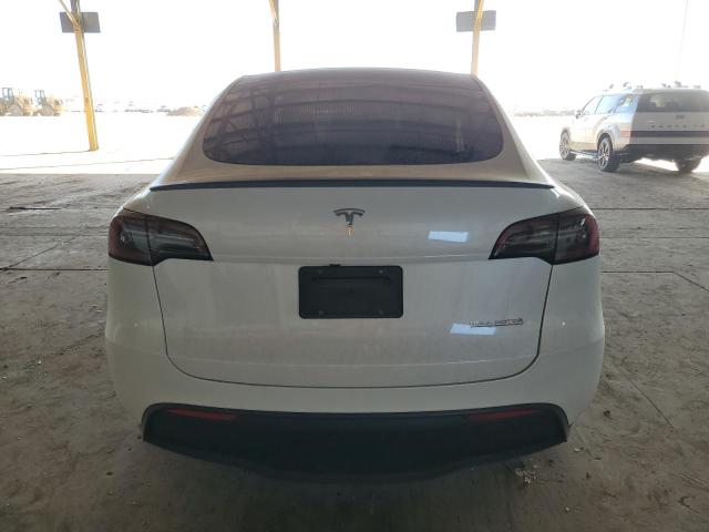 2023 TESLA MODEL Y #3302663038