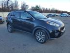 Lot #3316555485 2019 KIA SPORTAGE E