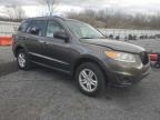 Lot #3310526065 2012 HYUNDAI SANTA FE G