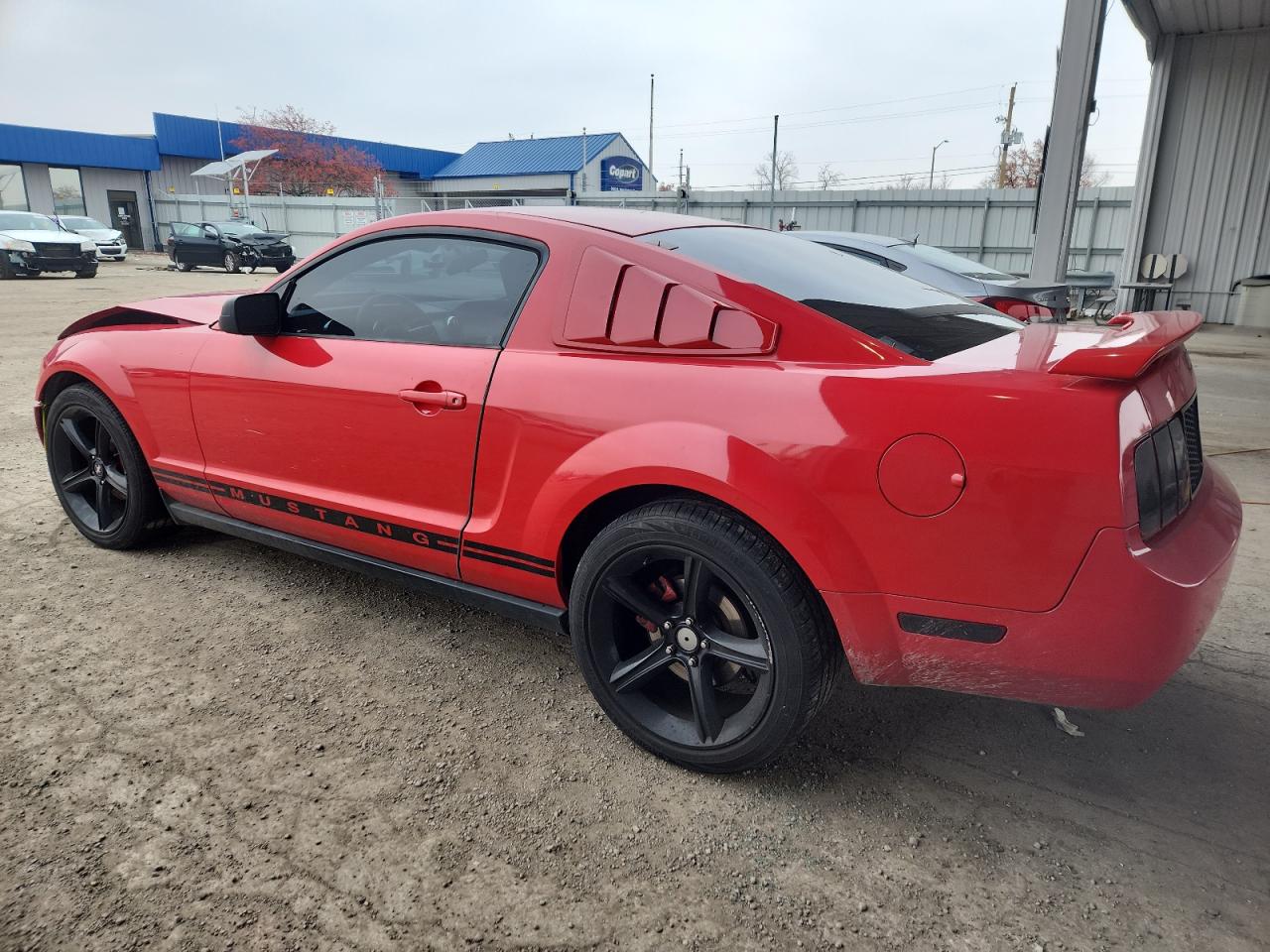 Lot #3302764357 2005 FORD MUSTANG