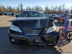 Lot #3302948652 2007 LEXUS ES 350