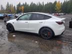 Lot #3316081247 2021 TESLA MODEL Y