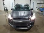 Lot #3305459080 2015 FORD ESCAPE SE