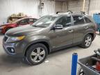 Lot #3303796444 2013 KIA SORENTO EX