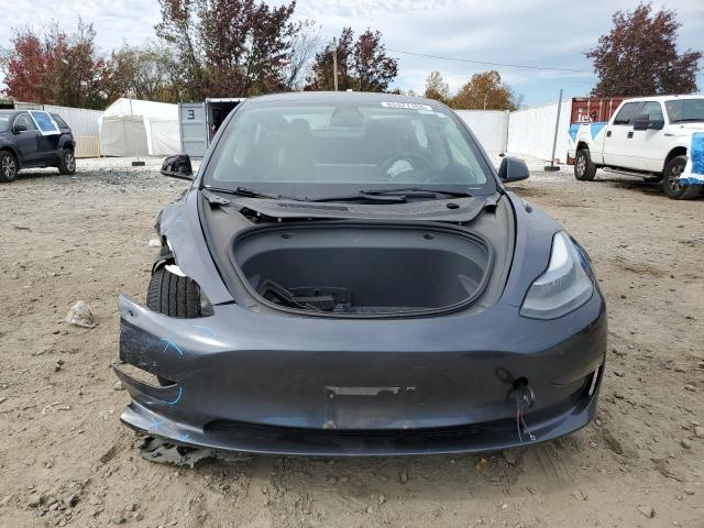 2023 TESLA MODEL 3 #3292580864