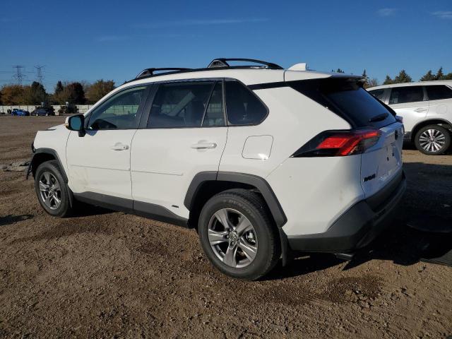 2025 TOYOTA RAV4 XLE #3284116580