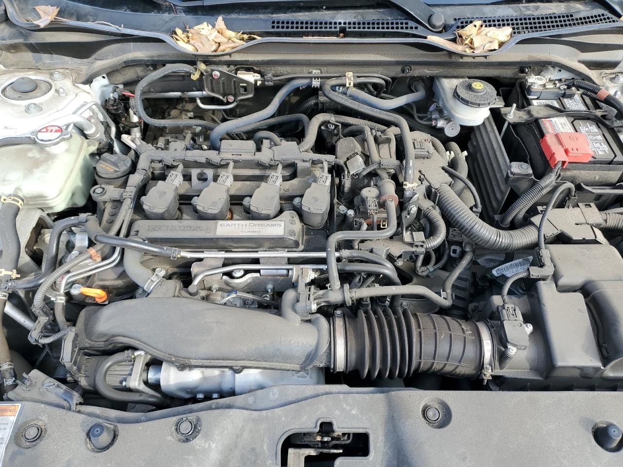 Lot #3301983468 2019 HONDA CIVIC EX