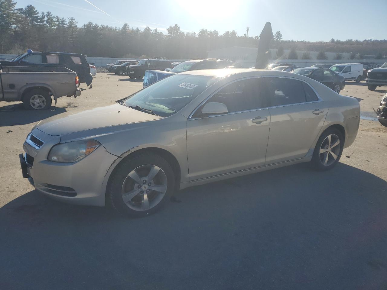 CHEVROLET MALIBU 1LT