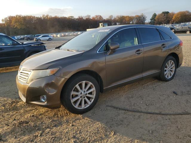 2010 TOYOTA VENZA #3302790891